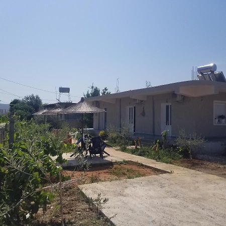 Rey Garden Villa วญอเรอ ภายนอก รูปภาพ